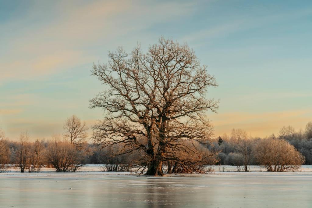 บทส่งท้ายผู้นำ ปตท. พฤษภาคม&nbsp;2567